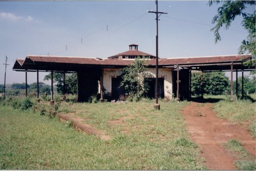A estação em 17/11/1998, tomada pelo mato